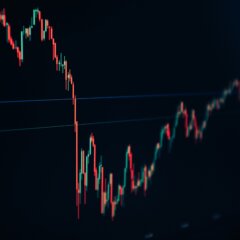 Why build a Financial Model?